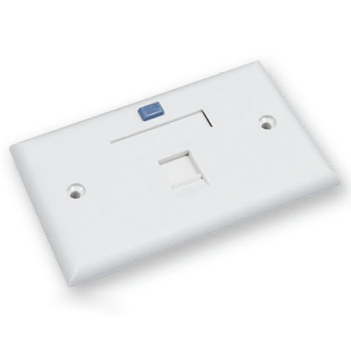 Faceplate